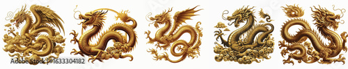 GOLDEN DRAGON VECTOR IMAGE WHITE BACKGROUND