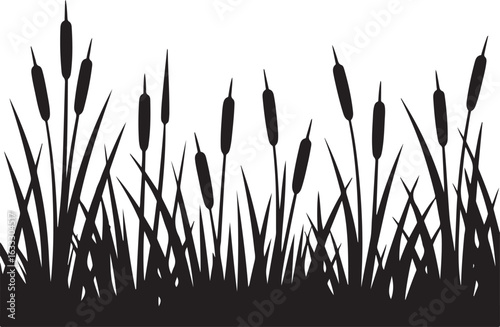 silhouette of grass
