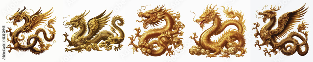 Fototapeta premium GOLDEN DRAGON VECTOR IMAGE WHITE BACKGROUND