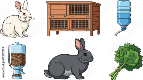 Rabbit care essentials: two rabbits, hutch, feeder, and waterer.