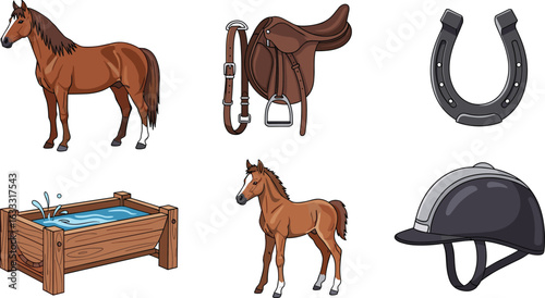 Horse Riding Equipment and Animals Collection