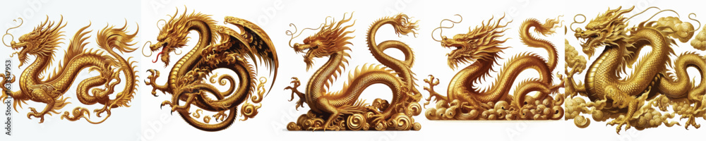 Fototapeta premium GOLDEN DRAGON VECTOR IMAGE WHITE BACKGROUND