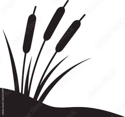 silhouette of a grass