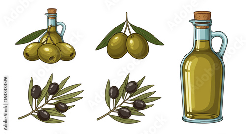 Olive oil olives branch bottle green black food cooking ingredient vector