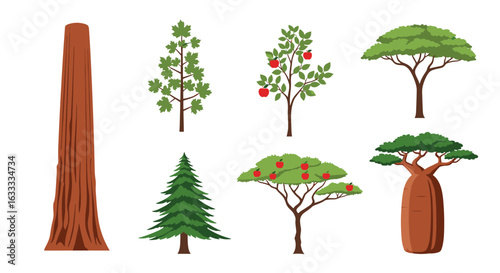 Collection of various tree species showcasing diverse shapes and sizes commonly found in nature