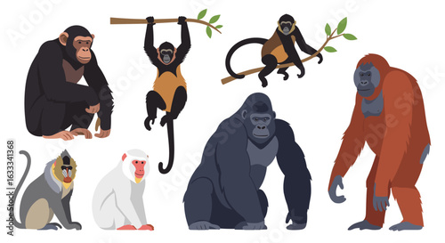 Collection of diverse primate species depicting various anatomical features and behavioral poses in naturalistic settings