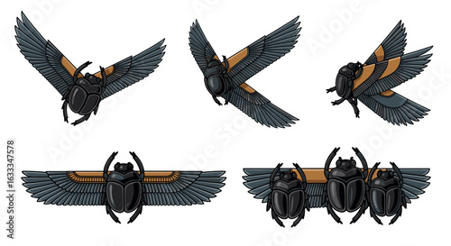 Scarabs beetles egyptian vector illustration flying scarab beetles art