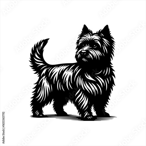 Terrier dog illustration