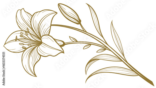 Beautiful golden lily flower vector illustration for decoration and design projects floral element art print