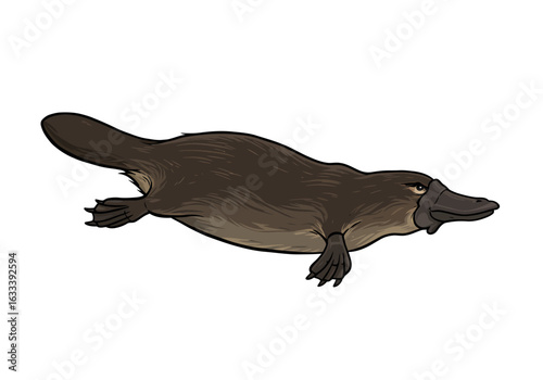 Detailed Illustration of a Swimming Platypus with Brown Fur and Duck Bill