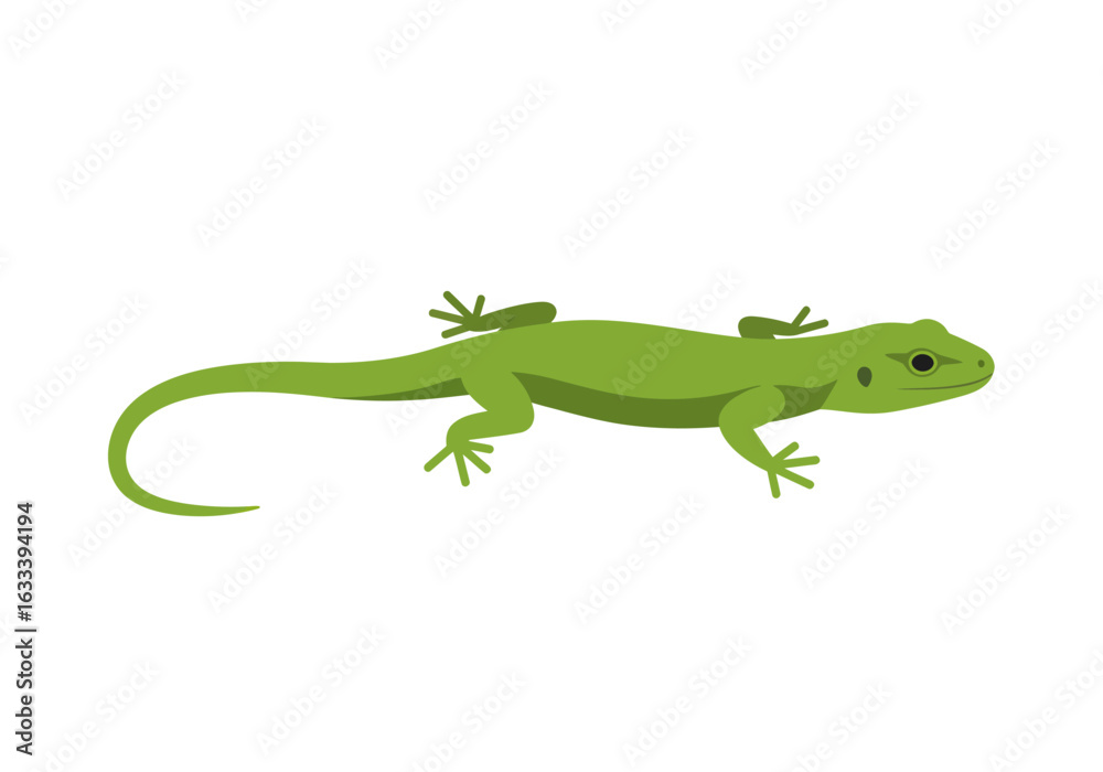 Naklejka premium Simple Green Lizard Illustration with Black Eye and Spot, Side View
