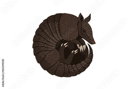 Stylized brown armadillo with a dotted shell and sharp claws curled into a protective ball.