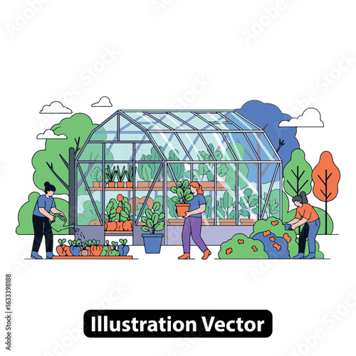 People cultivating fresh vegetables and plants in a community garden greenhouse illustration
