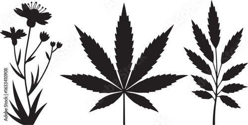 cannabis leaf vector illustration