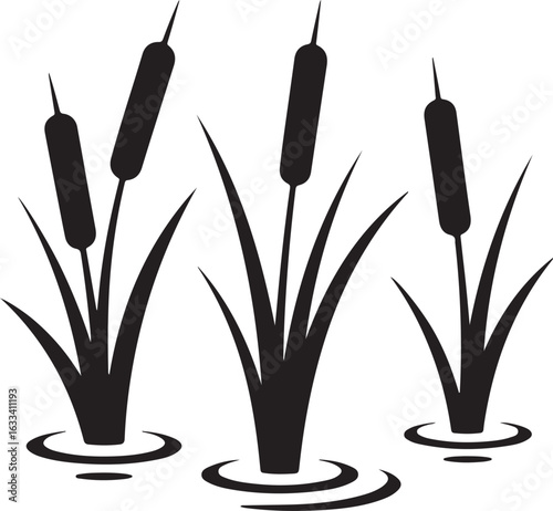 incense sticks on a white background