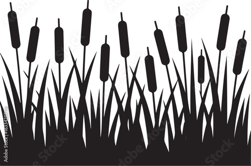 reeds in the morning
