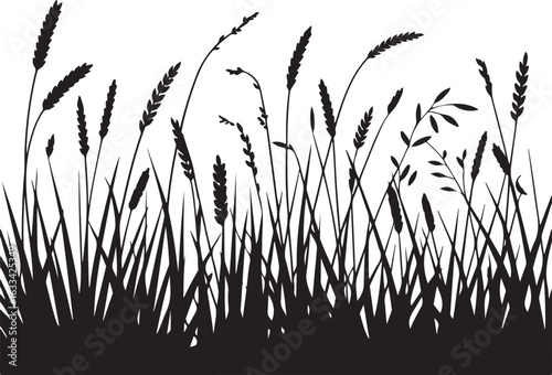 grass silhouette vector
