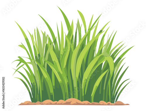 Tall Grass Bush with Fresh Green Blades