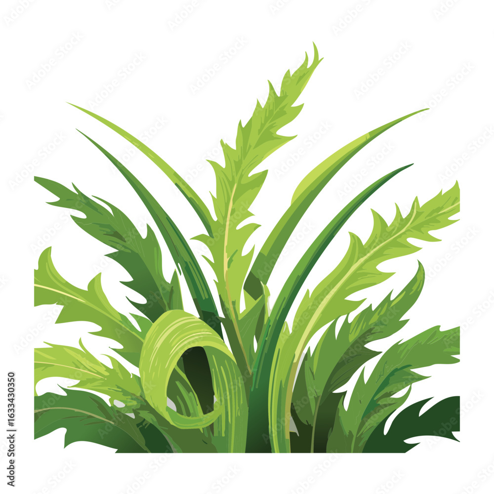 Fototapeta premium Unique Bush of Grass with Serrated Leaves