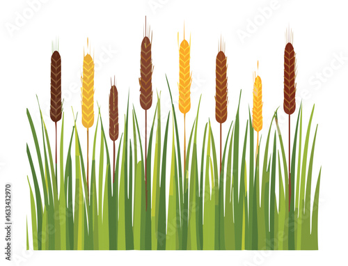 A Row of Brown Cattails and Reeds