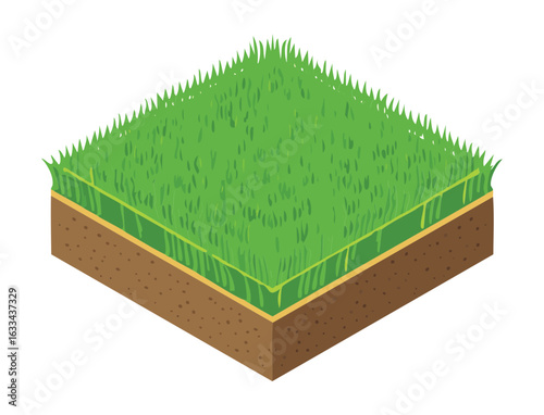 Isometric View of a Square Green Grass