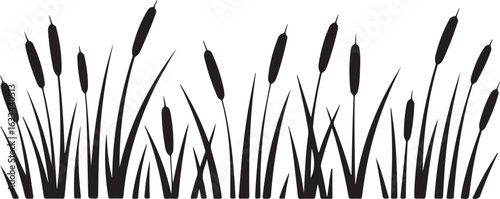 grass on white background