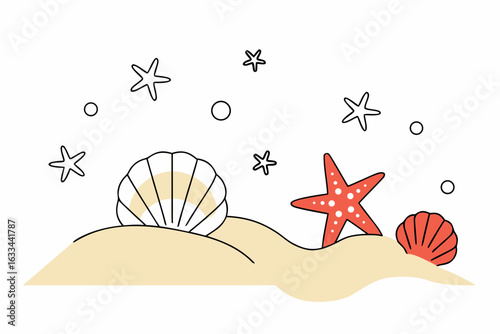 sea shells and starfish