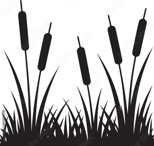 grass in the wind