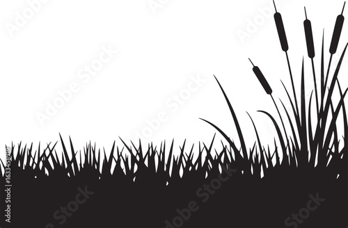 grass on white background