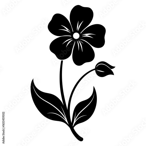 mazus pumilus flower silhouette  vector illustration  on-white-background