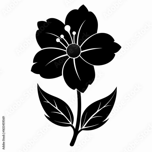 mazus pumilus flower silhouette  vector illustration  on-white-background