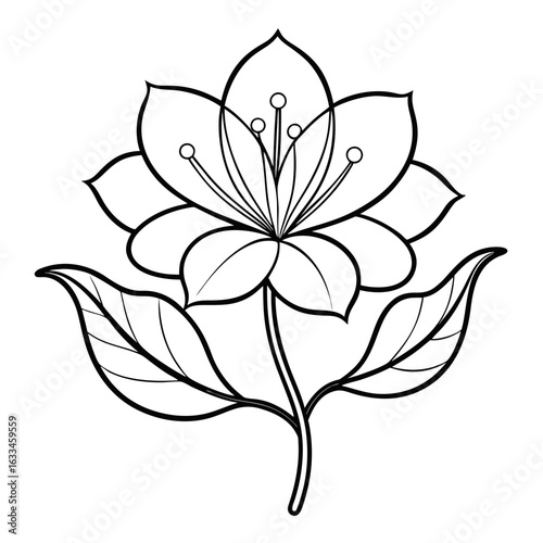 mazus pumilus flower line art vector  on-white-background