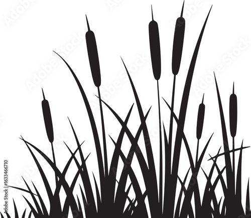 cattail vector

marsh plant silhouette

wetland plant illustration

aquatic plant vector