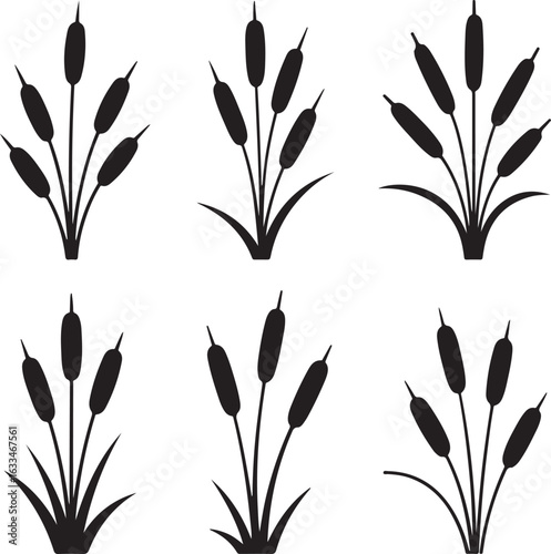 cattail vector

marsh plant silhouette

wetland plant illustration

aquatic plant vector