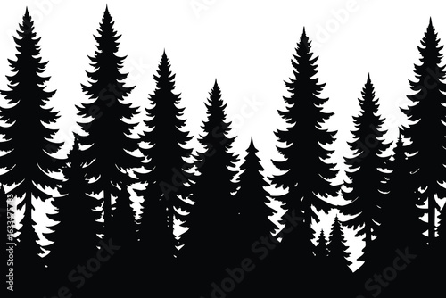 Silhouette of Pine Trees Forest Against White Background Creates a Winter Effect