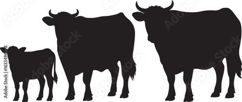 Cow Silhouette Vector | Farm Animal Clipart

Dairy Cow Silhouette | Rustic Farm Design

Standing Cow Silhouette | Livestock Animal Art

Black Cow Silhouette | Cattle Vector Illustration

Cow Outline S