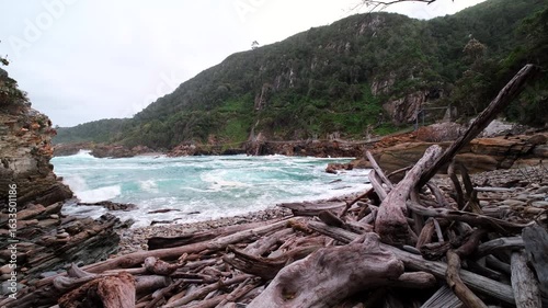 Driftwood washed up onto rocky beach at Storms River mouth, Garden Route