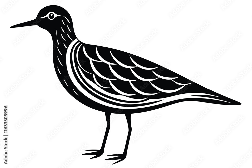 Obraz premium Black and White Illustration of a Sandpiper with Scaled Feathers and Long Beak