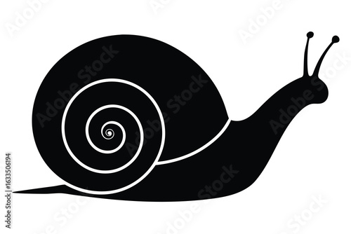 Black and White Illustration of a Snail with a Swirled Shell
