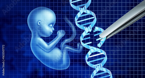 Fotografie Gene Edited Babies and reproductive science in vitro genetic CRISPR genome engineering medical biotechnology health care concept with a modified double helix with a fetus