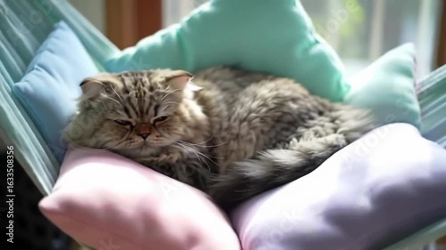 Cozy Persian cat lounging on pastel pillows in a sunlit room with a relaxed atmosphere