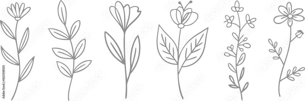 Fototapeta premium Elegant Gray Floral Line Art Delicate Flower and Leaf Illustrations on White Background
