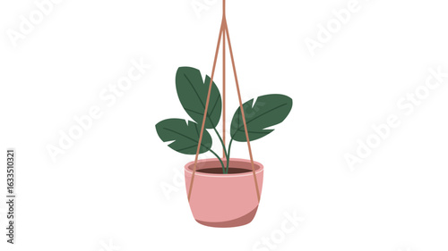 Hanging Houseplant with Green Leaves in Pink Pot, Isolated on White Background