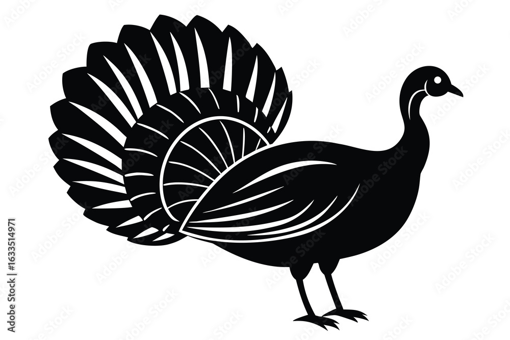 Fototapeta premium Elegant Black and White Turkey Illustration Featuring Ornate Feathers on White Background