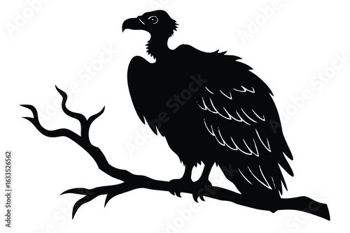 Striking Silhouette Black Vulture Perched Firmly on a Bare Branch, Isolated Against White Background