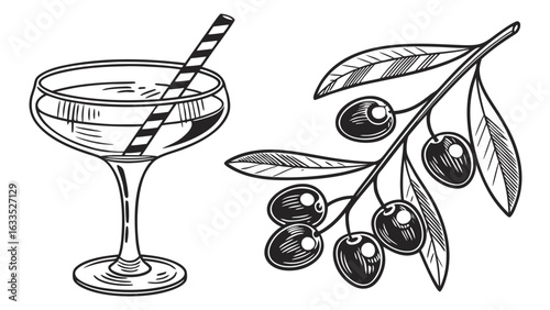 Martini cocktail with olive branch illustration for bar menu and drink recipe graphic design vector