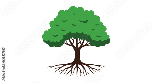 Stylized tree with round canopy, brown trunk and roots on white backdrop