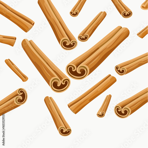 Rustic spice illustration featuring multiple cinnamon quills, perfect for cookbook illustrations, hospitality menus, and warm-toned marketing materials
