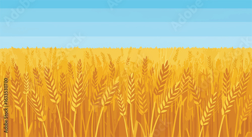 Grain field against blue sky