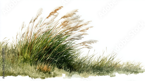 Windblown prairie grass swaying gently, peaceful and serene watercolor scene